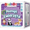 BrainBox - Poznaję zwierzęta (przedsprzedaż)