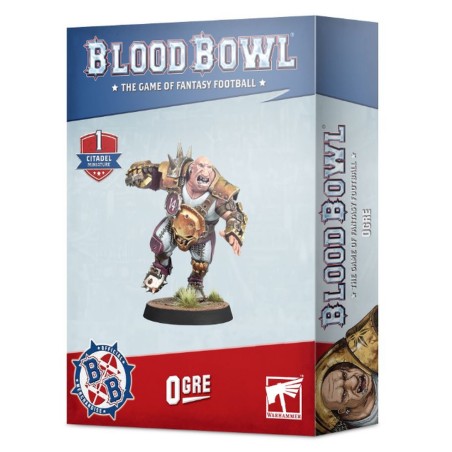 Blood Bowl Team: Norsca Rampagers